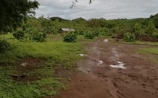 Se Vende Terreno de 15.5 Hectáreas en Carretera Pocrí – Paritilla. – MLS 20446