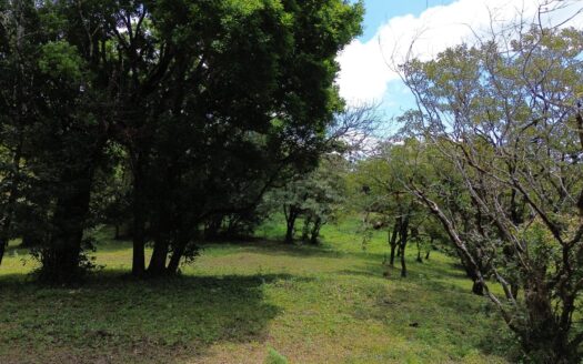 Lote de 1867 m2 en Venta en Alto Jaramillo – MLS 21989