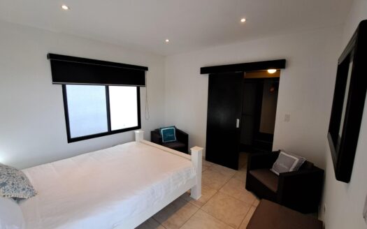 Finca de café con casa moderna – MLS 21738