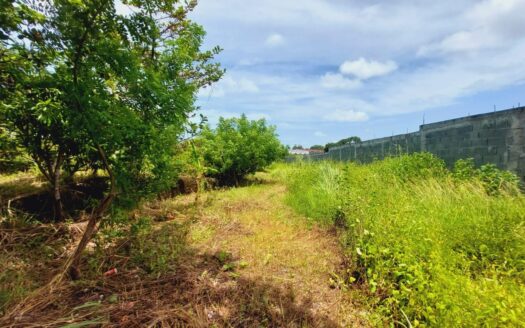 Buen tamaño de lote in Cabuya-Coronado – MLS 23037