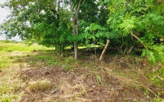 Buen tamaño de lote in Cabuya-Coronado – MLS 23037