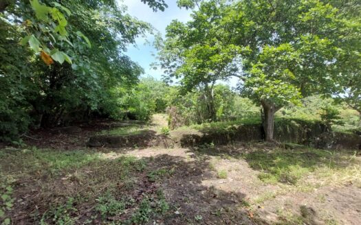 Buen tamaño de lote in Cabuya-Coronado – MLS 23037
