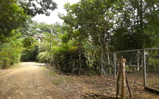 Lote Plano en Venta en Caldera Centro – MLS 20663