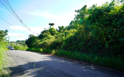 Lote frente al mar en venta en Palenque – MLS 21118