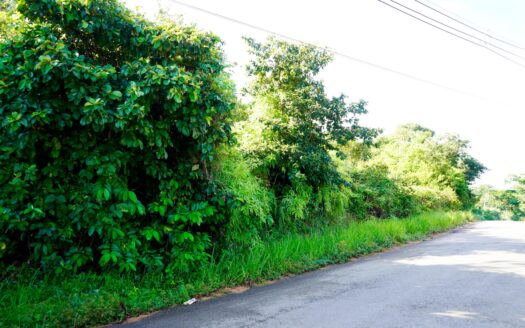 Lote frente al mar en venta en Palenque – MLS 21118