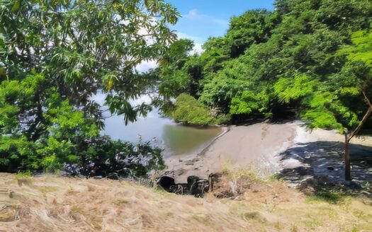 Terreno sobre la Ave. José A. Arango, Pedregal de 6,559m2 – MLS 14867