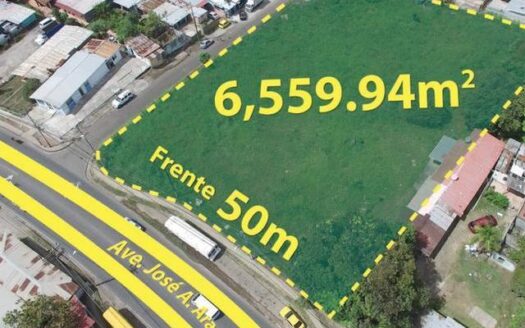 Terreno sobre la Ave. José A. Arango, Pedregal de 6,559m2 – MLS 14867