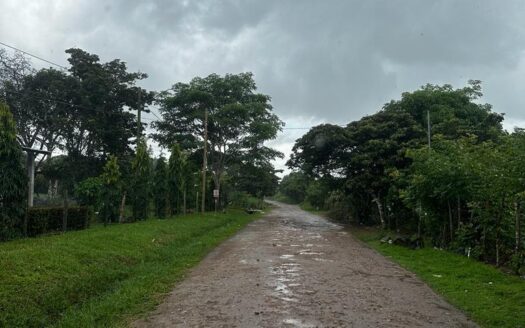 Lote de 5 hectáreas en Nansal, Penonomé, Coclé – MLS 20629