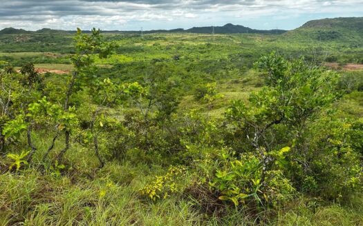 Lote de 5 hectáreas en Nansal, Penonomé, Coclé – MLS 20629