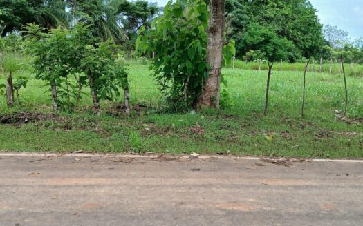 Lote listo para construir en venta – MLS 22820