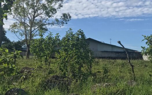 Lote plano de 1,500 m² en Volcán Nueva California – MLS 20917