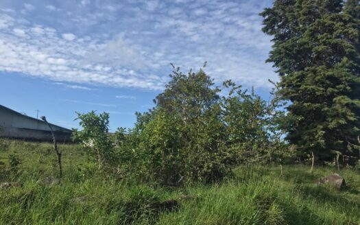 Lote plano de 1,500 m² en Volcán Nueva California – MLS 20917