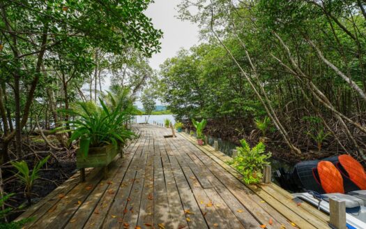 Concepto Jungle Lodge en Bocas del Toro – MLS 22008