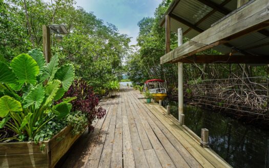 Concepto Jungle Lodge en Bocas del Toro – MLS 22008