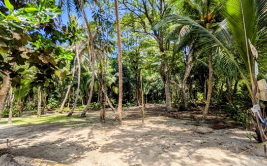 2 lotes adyacentes titulados frente al mar – MLS 22762