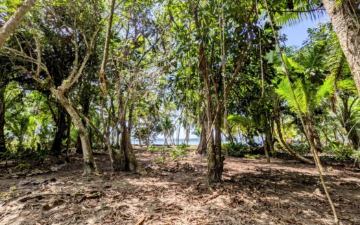 2 lotes adyacentes titulados frente al mar – MLS 22762