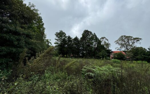 Lote Plano en Excelente Ubicación en Venta – MLS 20779