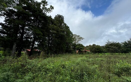 Lote Plano en Excelente Ubicación en Venta – MLS 20779