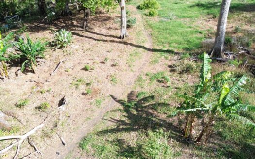 Amplio lote de 1,1 hectáreas en venta – MLS 21945