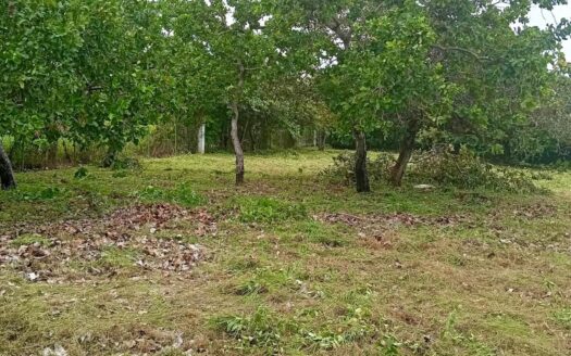 Venta de Terreno en Coronado – MLS 22975