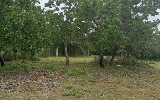 Venta de Terreno en Coronado – MLS 22975