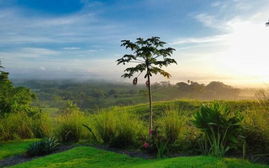 Dos lotes impresionantes en venta en Boca Chica – MLS 20985