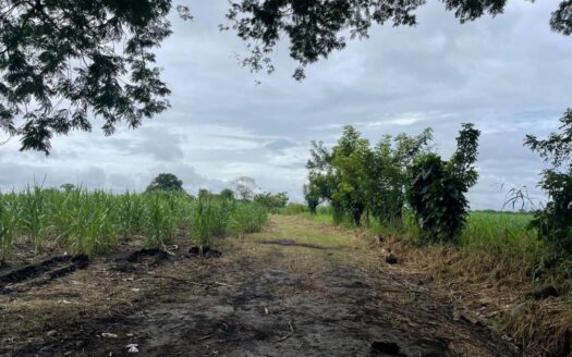 Se Vende Finca en El Tejar de Alanje a un Precio Inigualable – MLS 20588