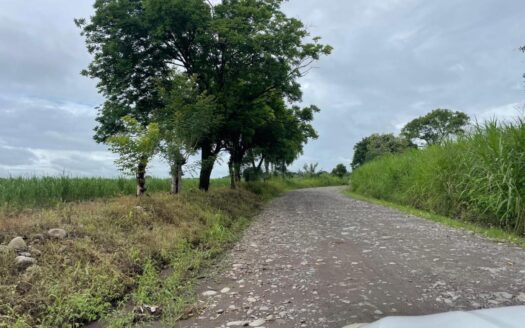 Se Vende Finca en El Tejar de Alanje a un Precio Inigualable – MLS 20588