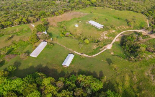 Finca idílica e invernadero en San Carlos Panamá Oeste – MLS 22506