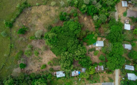 Finca en Dolega con Fácil Acceso por Carretera y Entorno Natural – MLS 21940