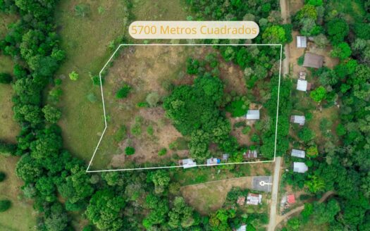 Finca en Dolega con Fácil Acceso por Carretera y Entorno Natural – MLS 21940
