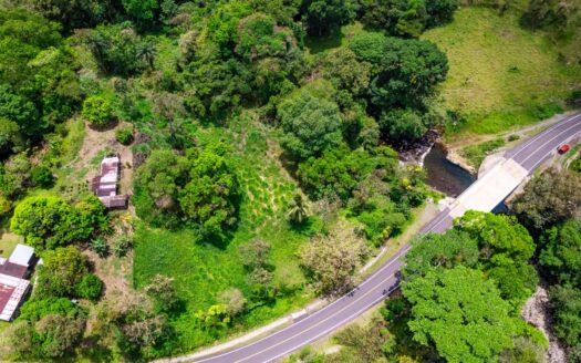 Lote Titulado con Acceso al Río y a la Carretera en El Bongo Bugaba – MLS 22555