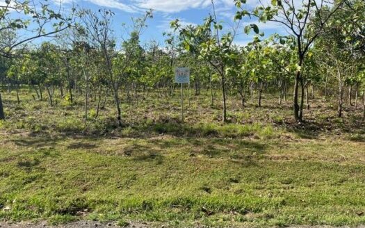 Lote con Vista al Mar en Boca Chica – MLS 21979