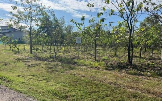 Lote con Vista al Mar en Boca Chica – MLS 21979