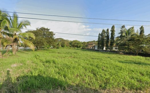 Villa Dora, David. Terreno R1 plano y accesible – MLS 22925