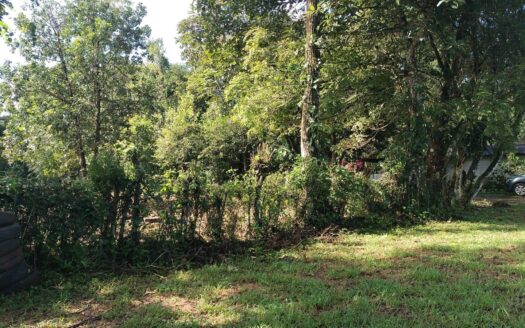 Lote de 1.000 m² en venta en Caldera – MLS 21121