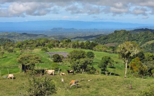 Terrenos Panorámicos en Cordillera Arriba – MLS 22497