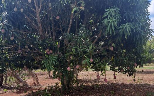Terreno de 3,660 m2 en venta en Arraijan – MLS 22199