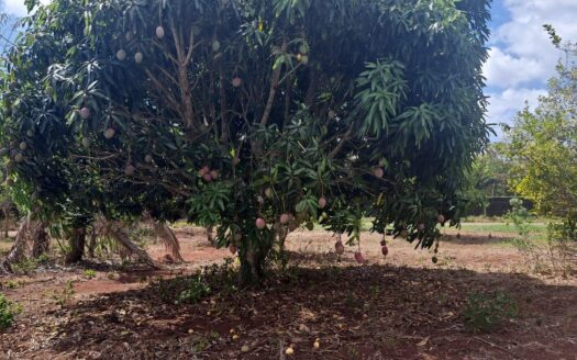 Terreno de 3,660 m2 en venta en Arraijan – MLS 22199