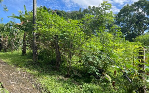 Lote para casitas o casa – MLS 23040