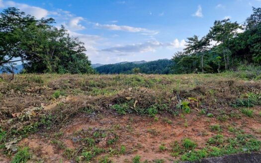 Lote Residencial en Altos del María – MLS 22698