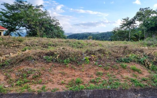Lote Residencial en Altos del María – MLS 22698