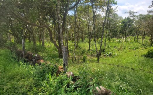 Terreno exclusivo en La Estrella, Caldera – MLS 23079