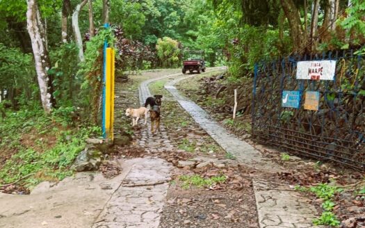 Se vende Finca en Altos de Pedregal, Ciudad de Panamá – MLS 22153