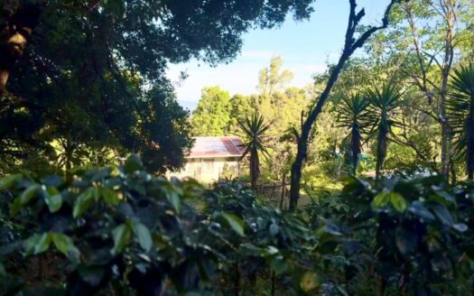 Finca con Casa en Venta en Alto Jaramillo Boquete – MLS 22583