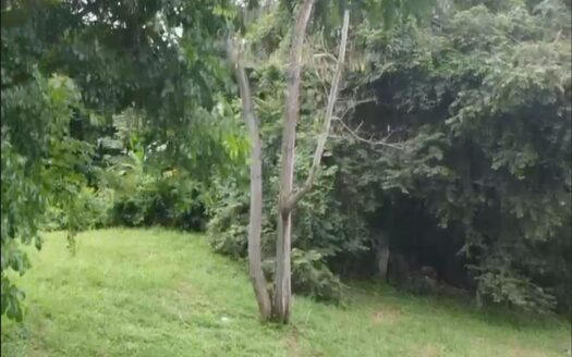 TERRENO PARA VENTA EN LA CRESTA, PANAMA – MLS 23101