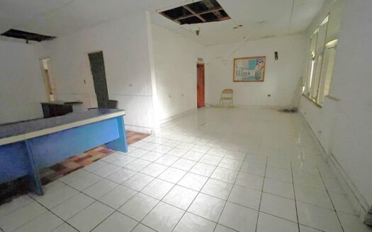 Lote Comercial en David de 331.03 m² – MLS 22905