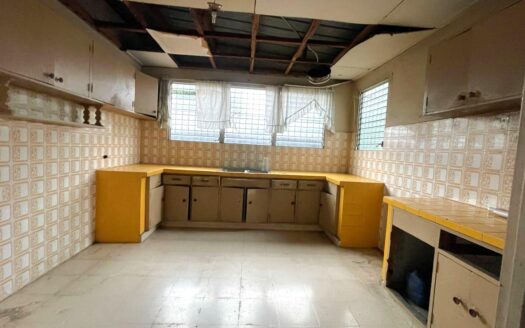 Lote Comercial en David de 331.03 m² – MLS 22905