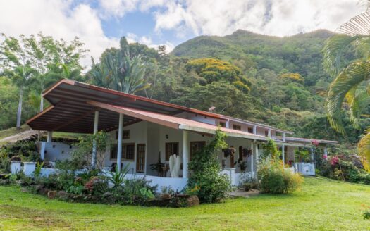 Hermosa Casa y Finca de Café Fuera de la Red – MLS 22531