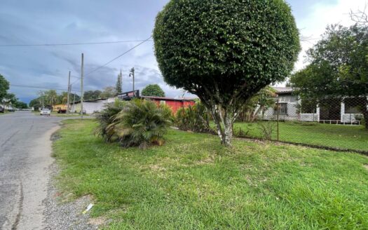 Lote Comercial en Alquiler – David, Chiriquí – MLS 22897